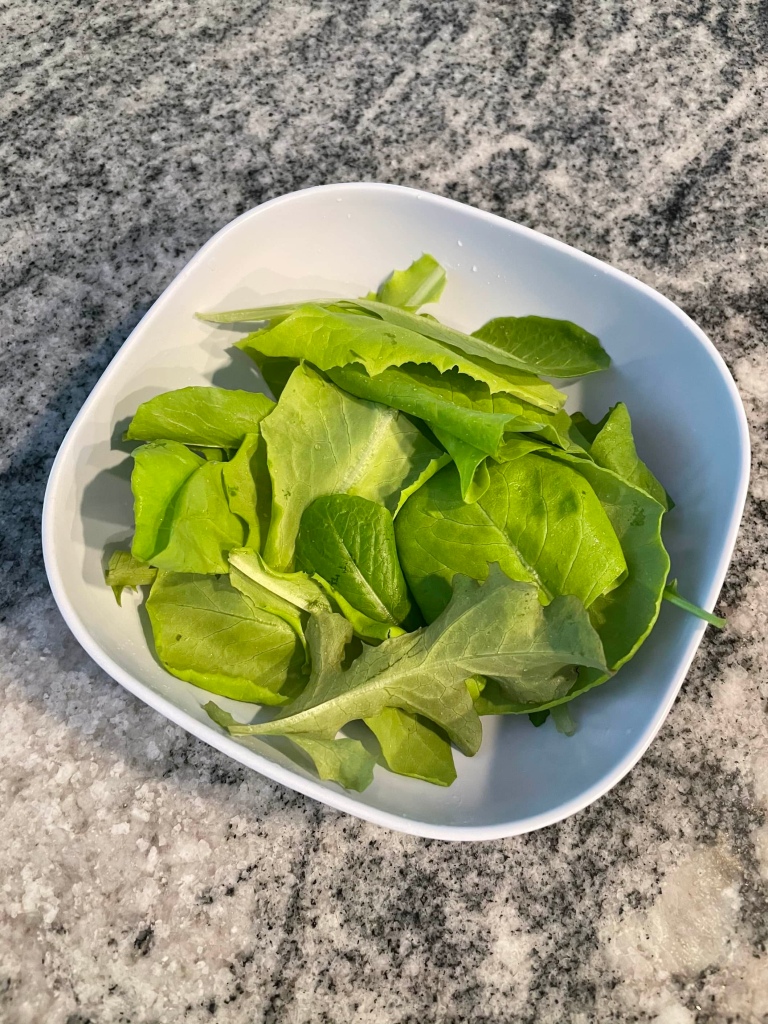 First bowl of salad from lettuce grow hydroponic farmstand