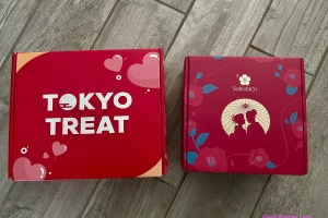 tokyotreat and sakuraco boxes